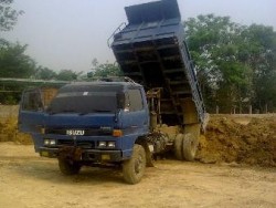 ขายรถดั้ม isuzu npr 115